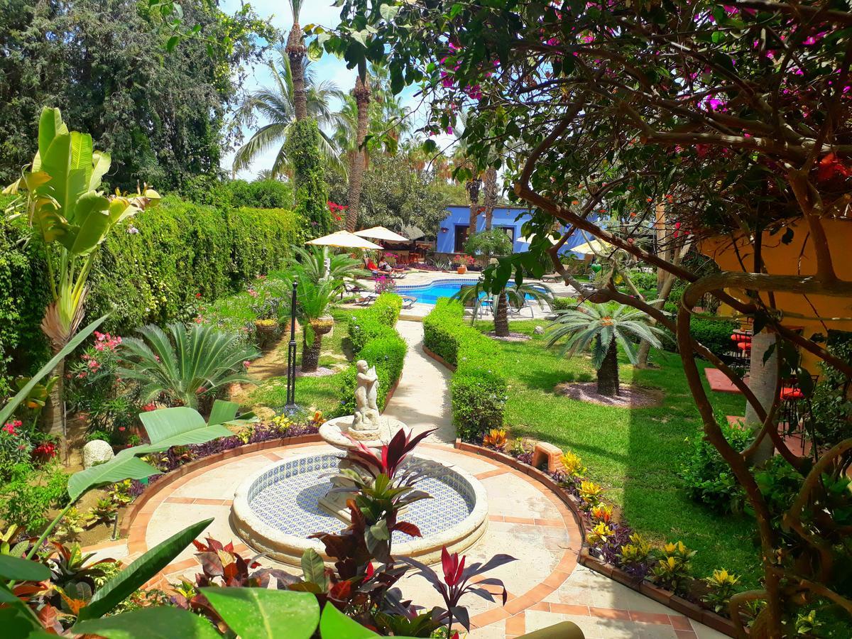El Encanto Inn & Suites San José del Cabo Exterior foto